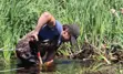 Person removing a beaver dam